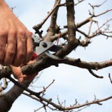 Often, the security & alarm technician performing the work will have any required permits, inspections, etc. Greene S Tree Service Pest Control 3765 Evans Rd Hendersonville Nc Phone Number Yelp