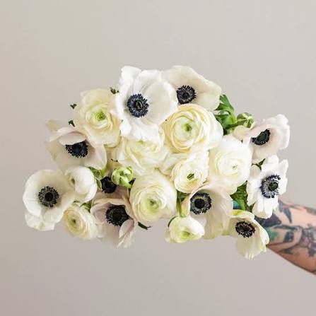 Ranunculus & Anemones | Ivory Flowers | Fast Online Delivery