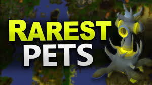Here are the top 10 p2p skilling money makers in osrs , ranked in order by requirements (easiest > hardest). Hardest Pets To Get In Osrs Rarest Pets Youtube