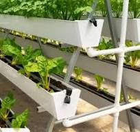 Greenhouse China China Trade,Buy China Direct From ...