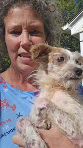 Moncho, Moncho Man...getting brave!, # #Moncho #emotionalrescuedogs  #adoptdontshop