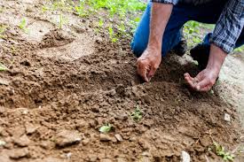 Job seekers can submit resumes by signing up with us and receive the relevant job postings on the registered email. Gardening Jobs For February Abacare