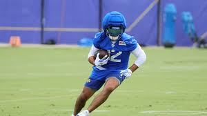 Michael Irvin shows support for Puka Nacua after rocky offseason