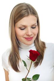 75,483 Single Rose Red Stock Photos