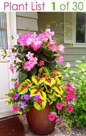 Pin On Planting Container Garden