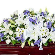 We did not find results for: Https Www Flowerwyz Com Discount Flowers Flower Deals Flower Coupons Cheap Flowers Free Delivery Htm Flowe Flowers For Everyone Casket Flowers Flower Coupons
