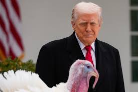 Trump spares turkeys at annual pardoning ceremony : NPR