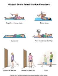 Exercise For Groin Strain Yahoo Search Results Rehabilitation Exercises Exercise Scoliosis Exercises