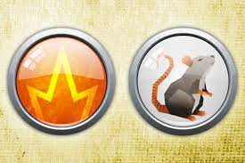 Career is an important topic for the person who was born in the year of the rat. Chinese Zodiac What Is The Fire Rat Sign And What Year Is It