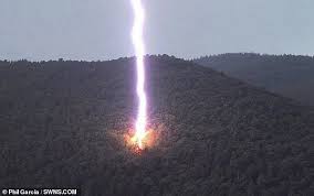 31,076 likes · 847 talking about this. Lightning Bolt Blows Up A Tree In Perfectly Timed Photo Digitpatrox