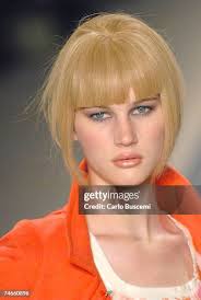 875 Wiens Stock Photos, High-Res Pictures, and Images