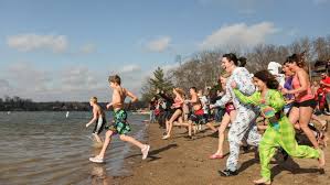 Crowds brave icy waters for annual Polar Plunge
