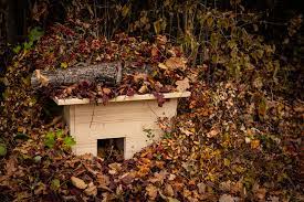 Weitere ideen zu igelhaus, igel, igel im garten. Igelhaus Bauen Das Garten Fraulein Zeigt Dir Wie Du Ein Igelhaus Baust