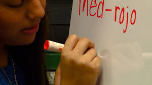 Pay it Forward Scholarship finalist Alexia Ramirez leads self-created  Spanish Club