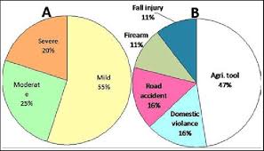 A Pie Chart Depicting The Percentage Of Severity Grades Of