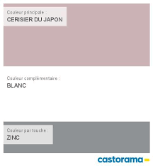 Castorama Nuancier Peinture Mon Harmonie Peinture Cerisier Du Japon Satin De Tollens Cuisine Salle De B Nuancier Peinture Castorama Peinture Salle De Bain