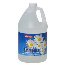 Pretreat laundry stains stubborn stains on cotton, polyester, or nylon fabrics are no match for a solution of ⅔ cup clear ammonia, ⅔ cup dish soap, 6 tablespoons of baking soda, and 2 cups warm. Clear Ammonia James Austin A Kik Custom Products Company