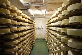 Soft cheese (young cheddar, mozzarella, string cheese) all of the basic cheeses that are commonly found in the house are safe for a dog to eat in moderation. Perspectives From The Cheese Cave Terroir Affinage And Moldy Arms Du Shamans Et Savants