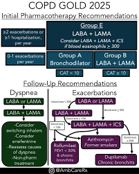 Image result for COPD Exacerbation Decision Tool