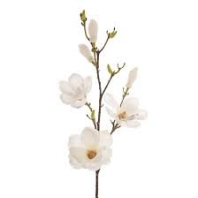 Magnolia artificial flower from flowers by design. Artificial Magnolia Spray White 80cm