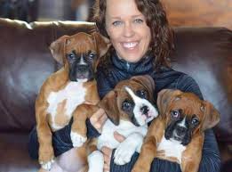 Get healthy pups from responsible and professional breeders at puppyspot. Boxer Puppies For Sale Near Me Boxer Puppies For Sale Near Me Boxer Puppies For Sale Near Me