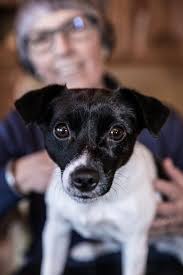 Med näsa för dofter