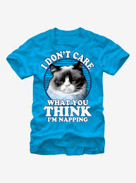 Grumpy Cat Nap T Shirt In 2020 Grumpy Cat Cat Nap Grumpy Cat Shirt