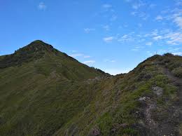 Pension in kelchsau mit wanderweg finden. Rundweg Kelchsau Feldalphorn Schwaigberghorn Wanderung Outdooractive Com