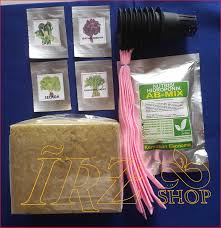 We did not find results for: Daun Hidroponik Kering Pelatihan Hidroponik Organik