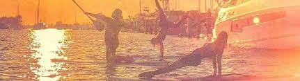 Now $688 (was $̶9̶5̶4̶) on tripadvisor: What Sup Yoga Newport Beach Ca Alignable