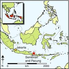 Download pdf indo tuan wade Sembiran And Pacung On The North Coast Of Bali A Strategic Crossroads For Early Trans Asiatic Exchange Antiquity Cambridge Core
