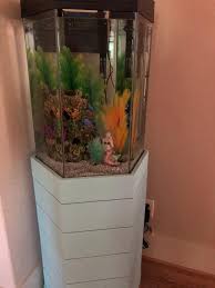 Maybe you would like to learn more about one of these? Top Fin Captivate Starter Kit Fish Starter Kits Petsmart