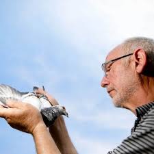 Vom Essener Bergmann zum Brieftauben-Experten