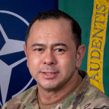 COL Arnel P. David
