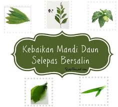 20 mei 2010 181 comments. Kebaikan Mandi Daun Selepas Bersalin Untuk Segarkan Diri