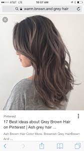 Pin By Kc Ding On Hairs Hair Highlights Ash Brown Hair Color Brown Hair Colors