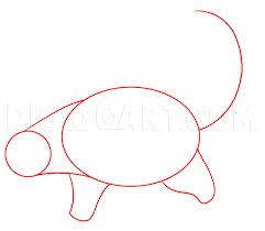 Free printable elephant coloring pages for adults. How To Draw A Snow Leopard Coloring Page Trace Drawing
