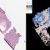 Story image for Artificial Intelligence from EurekAlert (press release)