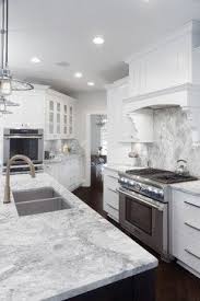 Super White Quartzite Design Ideas Pictures Remodel And Decor White Quartzite Kitchen Inexpensive Kitchen Remodel Affordable Kitchen Remodeling