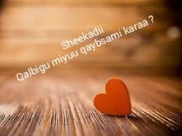 Creator of personalized online with your photo cards and valentine love. Mowliid Haji Abdi Qalbigu Miyuu Qaybsamaa Qiso Jacayl Wadaniyad Dhibaatada Haybsooca Dhinacyo Kale Taabanaysa Qaybtii 5 Aad Maryan Oo Yaaban Kana Filanayn In Wiilka Xaaji Guhaad Dani Ka Soo Gasho