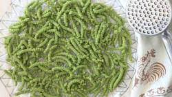 Ricetta passatelli asciutti che non si rompono. Passatelli Ricetta Originale Romagnola Con Variante Senza Glutine Agli Spinaci Ricettevegolose
