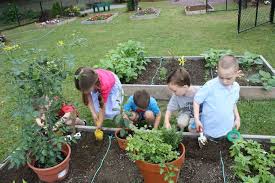 Pin On Ec Environments