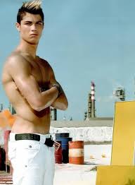 pitnes зурган илэрцүүд