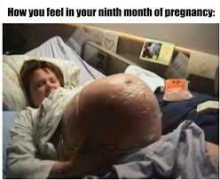 50 Funny Pregnancy Memes That Will Make You Pee Without Even Sneezing