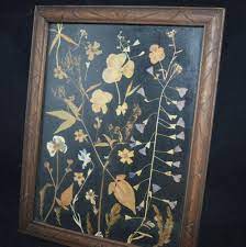 We did not find results for: Pressed Flowers Black Background Vintage Wood Frame Carved Framed Dried Flowers Beige Black Beige Flowers Flowers Art Flowers Black Background Background Vintage Pressed Flowers