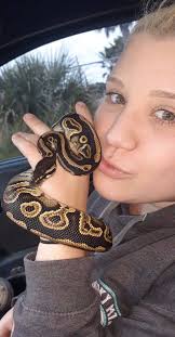 Such little dapper dudes! Christmas/ Winter 2025 ❄️☃️