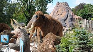 Chris kelly, managing director at west midland safari park, added: West Midland Safari Park Bewdley Weber Uk