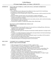 Use bullet points to highlight your accomplishments. Experienced Consultant Resume Samples Velvet Jobs