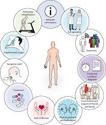 Palliative care focuses on improving quality of life for patients with serious illness and their families. Palliative Care In Interstitial Lung Disease Living Well The Lancet Respiratory Medicine