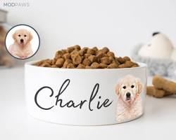 custom pet bowl with a cat's photo on itの画像